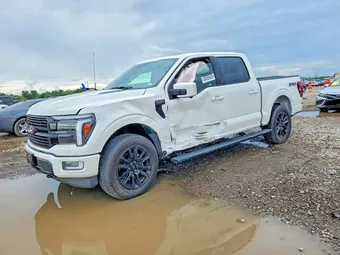 2025 Ford F-150 1FTFW7L83SFA93065 Lot 54599026