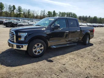2017 Ford F-150 1FTEW1EF8HFA29925 Lot 49281256