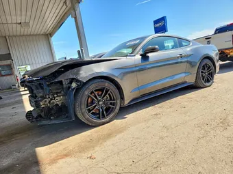 2017 Ford Mustang 1FA6P8TH6H5202822 Lot 56663486