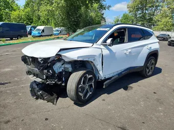 2022 Hyundai Tucson 5NMJECAE5NH161341 Lot 53076496