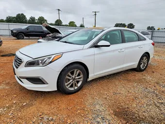 2016 Hyundai Sonata 5NPE24AF3GH291682 Lot 56875496