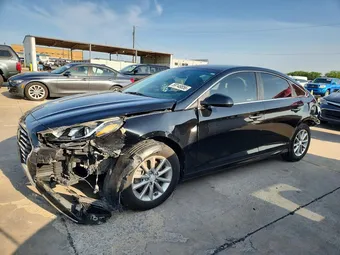 2019 Hyundai Sonata 5NPE24AF7KH767831 Lot 58148856