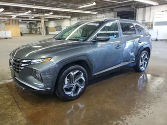 2024 Hyundai Tucson KM8JBDD21RU175876 Lot 55952926