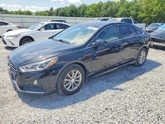 2019 Hyundai Sonata 5NPE24AF8KH794293 Lot 53894776