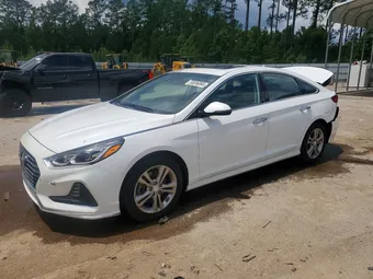2018 Hyundai Sonata 5NPE34AF7JH644753 Lot 55036066