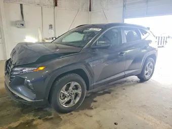 2023 Hyundai Tucson 5NMJBCAE7PH240733 Lot 48521316
