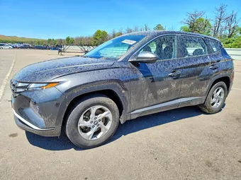 2023 Hyundai Tucson 5NMJA3AE3PH267298 Lot 56662646