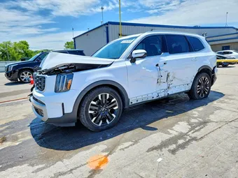 2024 Kia Telluride 5XYP5DGC6RG497652