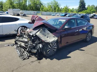 2025 Nissan Altima 1N4BL4DV9SN376849 Lot 61806886