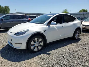 2021 Tesla Model Y Long 5YJYGDEE1MF198198 Lot 55014966