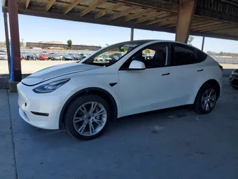 2022 Tesla Model Y 7SAYGDEE3NF354195 Lot 56176896