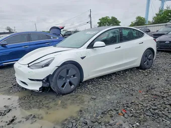 2023 Tesla Model 3 5YJ3E1EA4PF557611 Lot 54755866