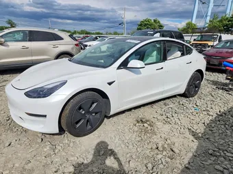 2021 Tesla Model 3 5YJ3E1EA3MF920492 Lot 54847256