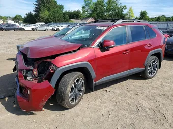 2019 Toyota RAV4 2T3J1RFV6KW034192 Lot 56255746