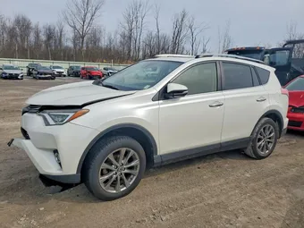 2017 Toyota RAV4 JTMDFREV9HJ169982 Lot 47787896