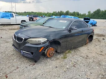 2015 BMW 2 Series WBA1F5C59FV256394