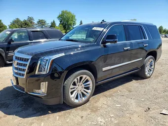 2019 Cadillac Escalade 1GYS4CKJ1KR314625