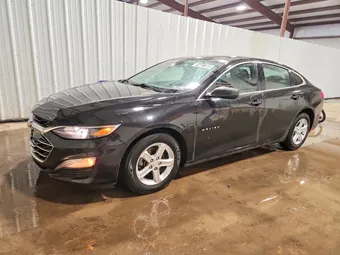 2023 Chevrolet Malibu 1G1ZB5STXPF169898 Lot 74461305