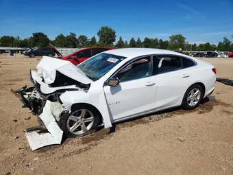 2019 Chevrolet Malibu 1G1ZB5ST4KF146075 Lot 55567646