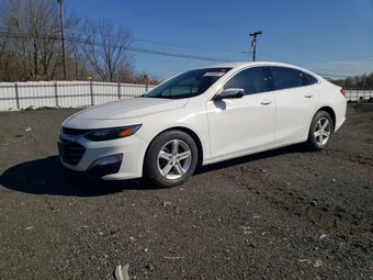 2019 Chevrolet Malibu 1G1ZC5ST9KF131973 Lot 45537476