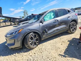 2021 Ford Escape 1FMCU0BZ2MUB01256 Lot 60225676