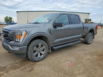 2023 Ford F-150 1FTFW1ED7PFA28069 Lot 58999686