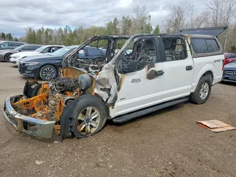 2015 Ford F-150 1FTEW1EG8FFB92712 Lot 49059296