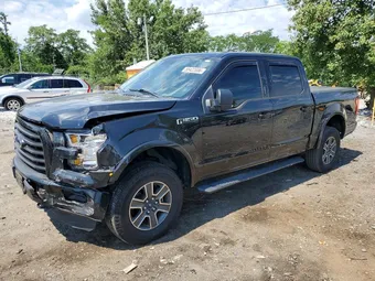 2015 Ford F-150 1FTEW1EF8FFC64290 Lot 58422006