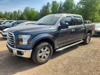 2016 Ford F-150 1FTEW1EF7GFA73901 Lot 54393736