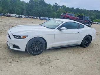 2017 Ford Mustang 1FA6P8AM2H5276495 Lot 60455256