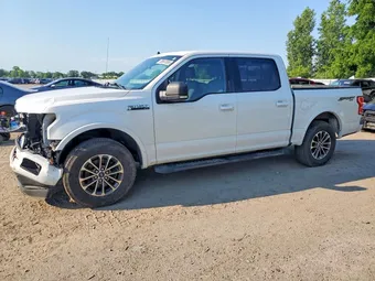 2019 Ford F-150 1FTEW1EP4KFB86822 Lot 58941086