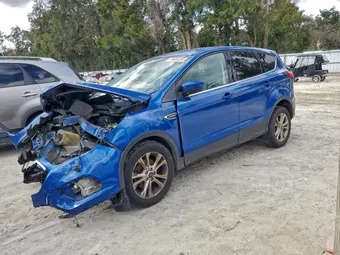2019 Ford Escape 1FMCU0GD8KUA07067 Lot 96664555