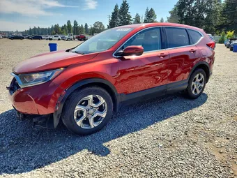 2019 Honda CR-V 5J6RW2H5XKL001086 Lot 59295016