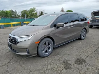2022 Honda Odyssey 5FNRL6H53NB029955