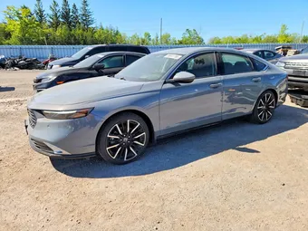 2025 Honda Accord 1HGCY2F84SA800278 Lot 55041796
