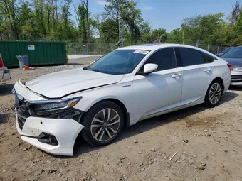 2022 Honda Accord 1HGCV3F59NA008491 Lot 51122366