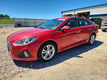 2019 Hyundai Sonata 5NPE34AF1KH767983 Lot 55424316