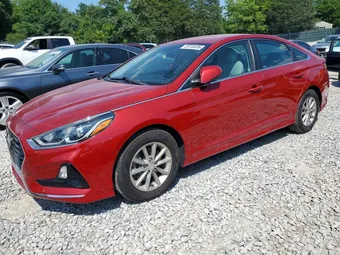 2019 Hyundai Sonata 5NPE24AF3KH769186 Lot 58755036