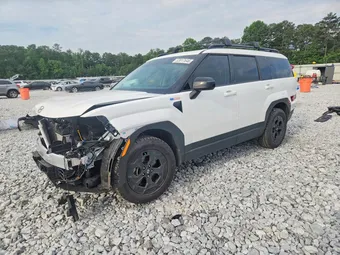 2025 Hyundai Santa Fe 5NMP3DGL6SH113774 Lot 53817646