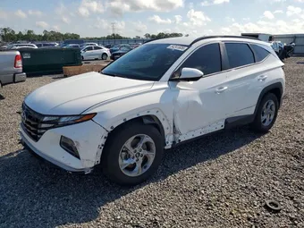 2024 Hyundai Tucson 5NMJB3DE3RH302935 Lot 54241606