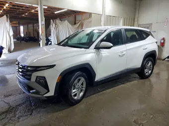 2025 Hyundai Tucson 3KMJACDE8SE015510 Lot 56820556