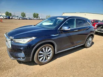 2019 Infiniti QX50 3PCAJ5M33KF144519