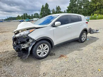 2019 Kia Sportage KNDPM3AC5K7563942 Lot 55814626