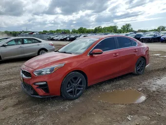 2019 Kia Forte 3KPF54AD5KE069393 Lot 51264226