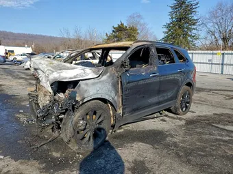 2020 Kia Sorento 5XYPGDA55LG697241 Lot 97771065