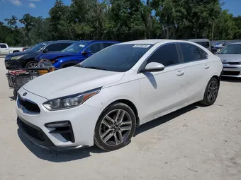 2019 Kia Forte 3KPF54AD8KE029888 Lot 59136016