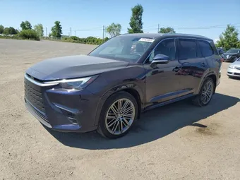 2024 Lexus TX 350 5TDAAAB63RS000495