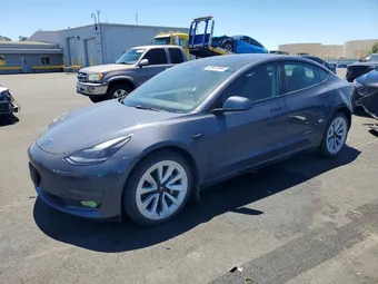 2023 Tesla Model 3 5YJ3E1EB7PF386359 Lot 56967856