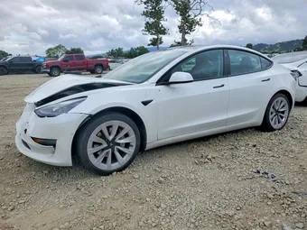 2021 Tesla Model 3 5YJ3E1EA4MF998439 Lot 48191816