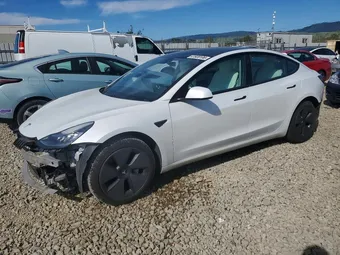 2021 Tesla Model 3 5YJ3E1EA9MF848309 Lot 41920106